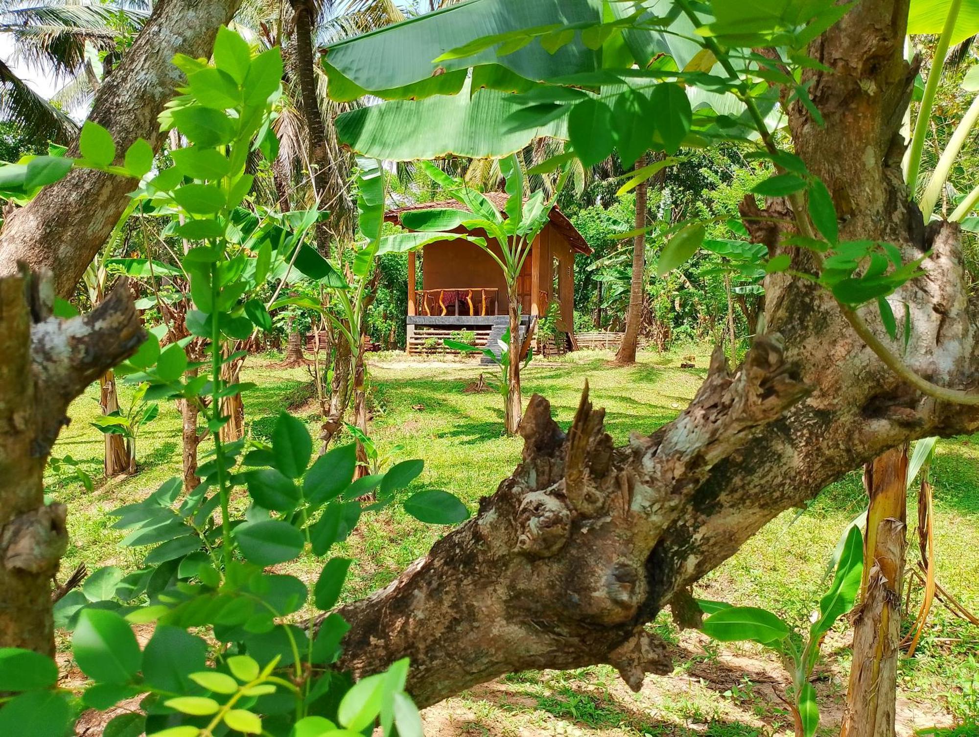 Milk House Cottage Udawalawe Exterior foto