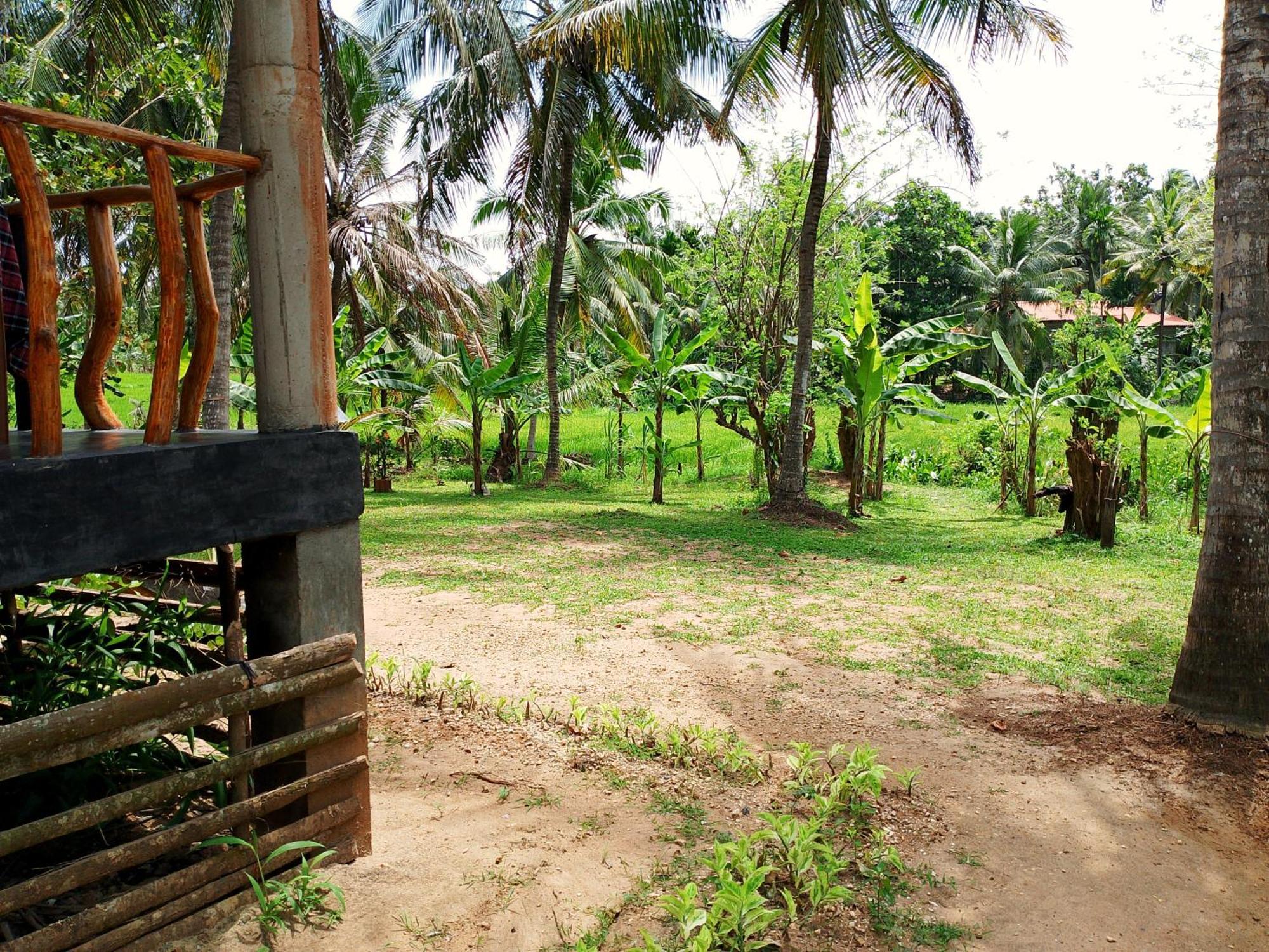 Milk House Cottage Udawalawe Exterior foto
