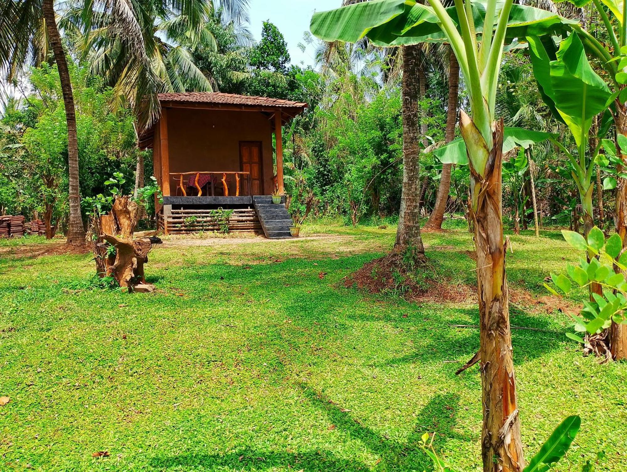 Milk House Cottage Udawalawe Exterior foto