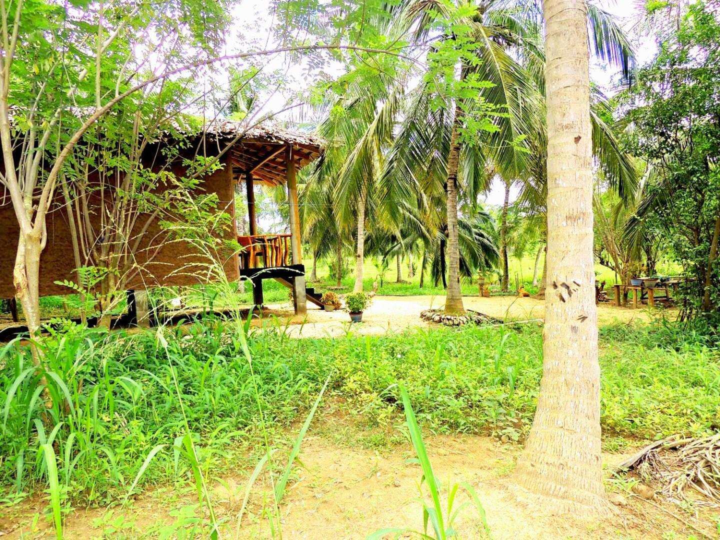 Milk House Cottage Udawalawe Exterior foto