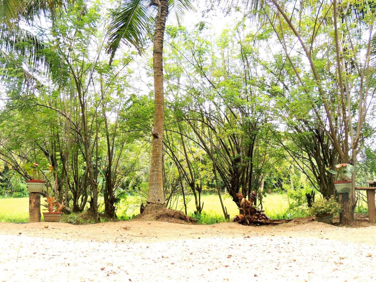Milk House Cottage Udawalawe Exterior foto