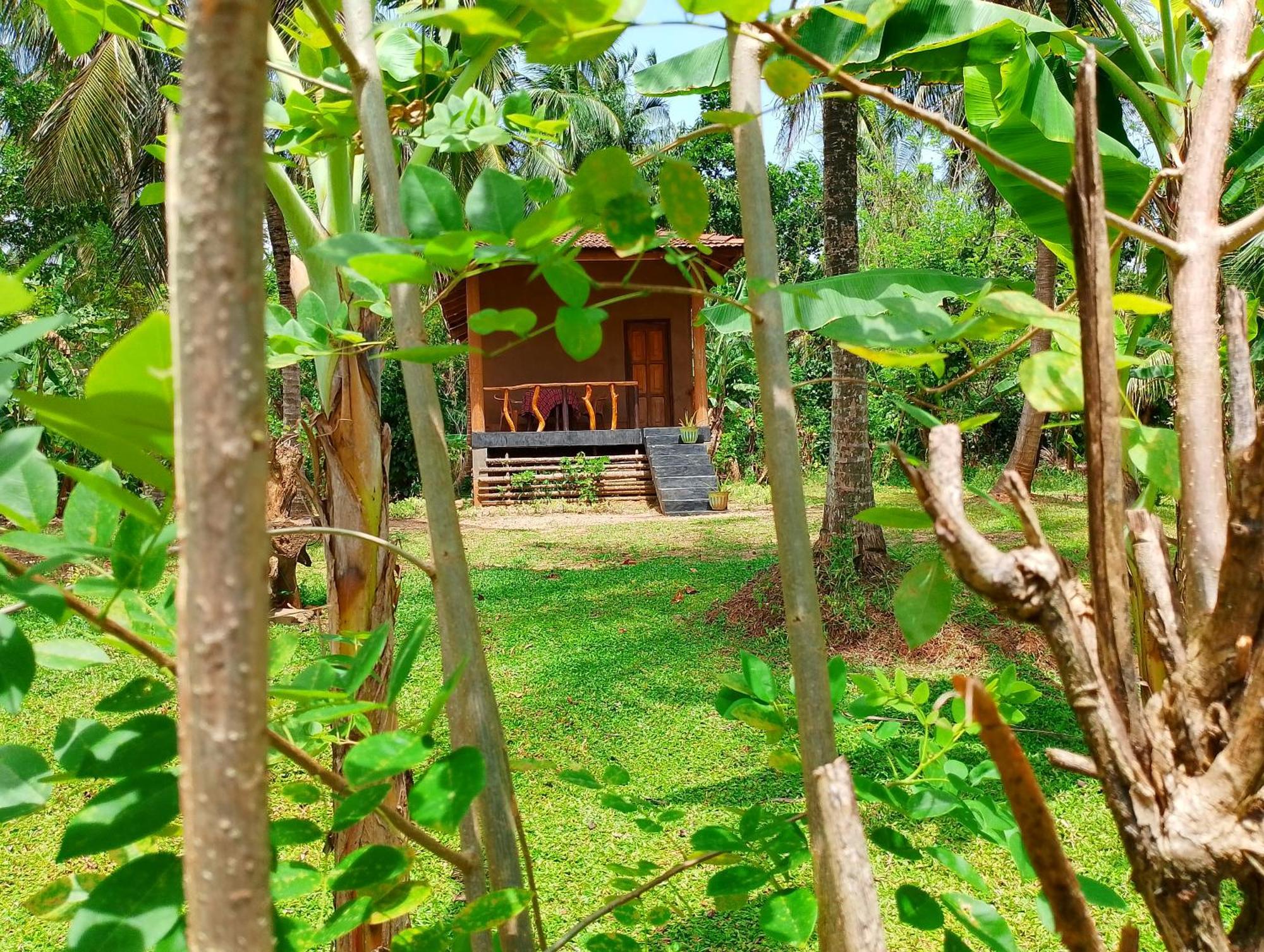 Milk House Cottage Udawalawe Quarto foto