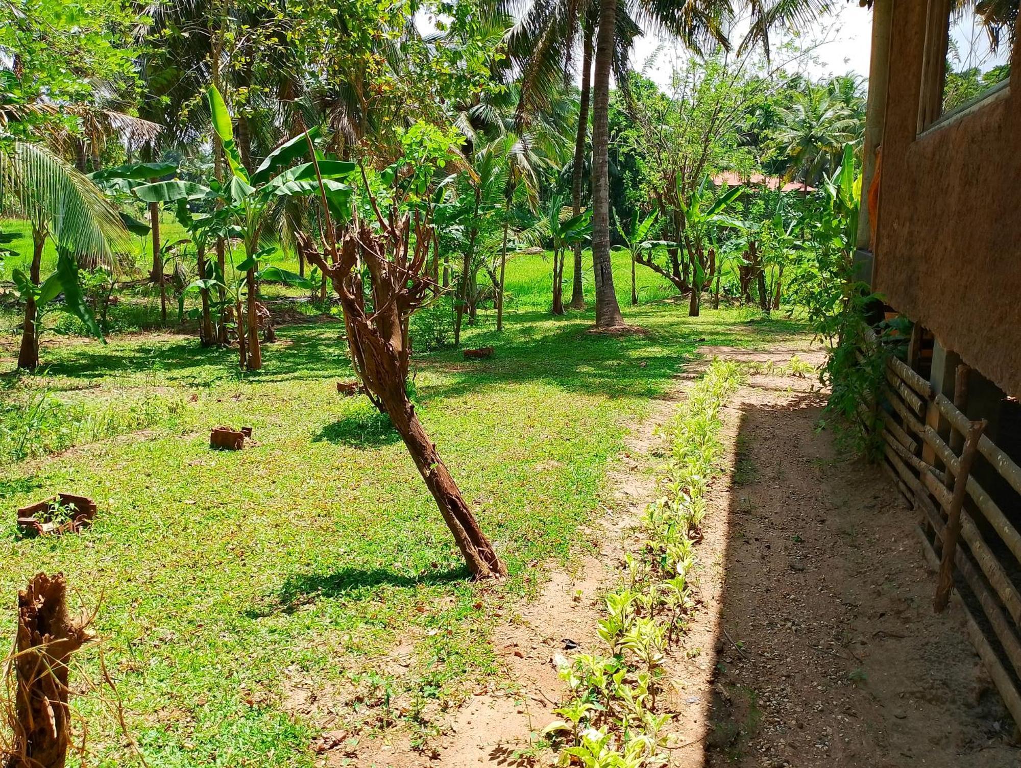 Milk House Cottage Udawalawe Quarto foto